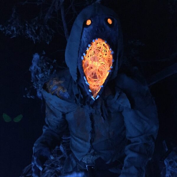 The