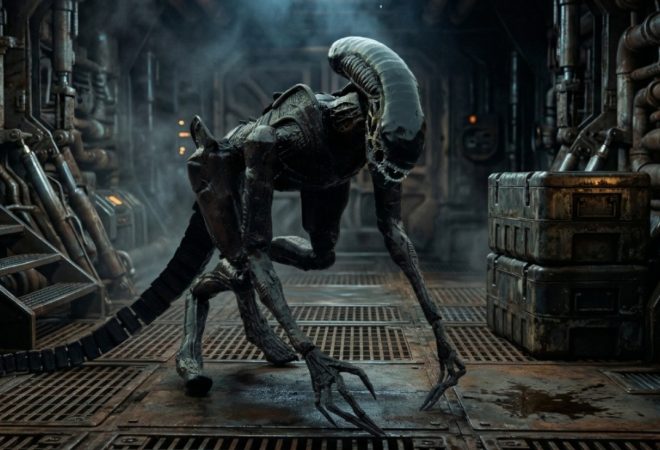 WhatsApp Image 2026-03-24 at 10.01.03 AM